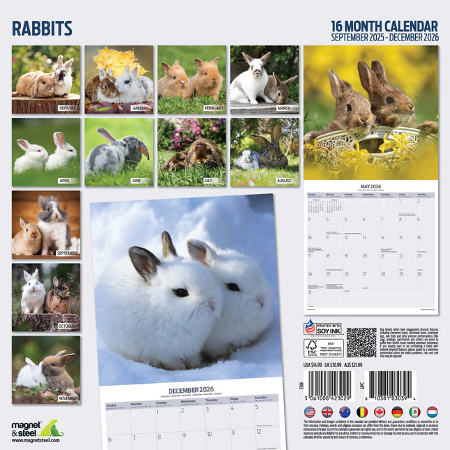 Magnet & Steel Konijnen Kalender 2026