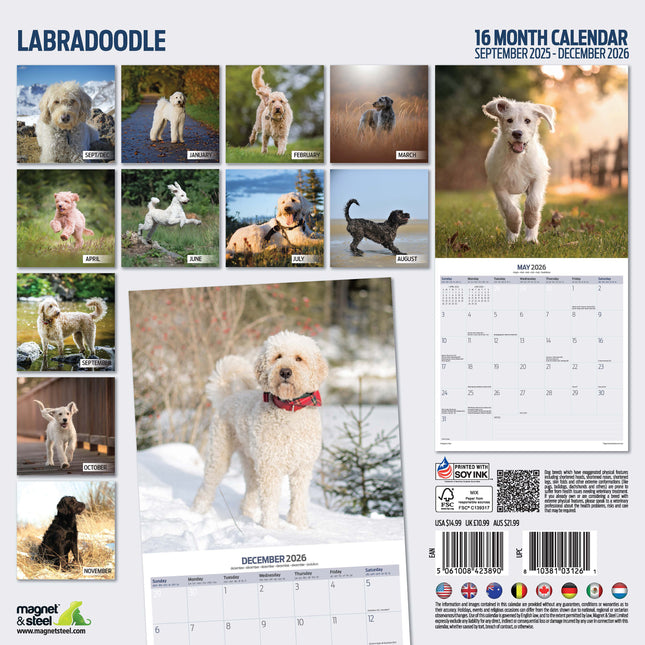 Magnet & Steel Labradoodle Kalender 2026