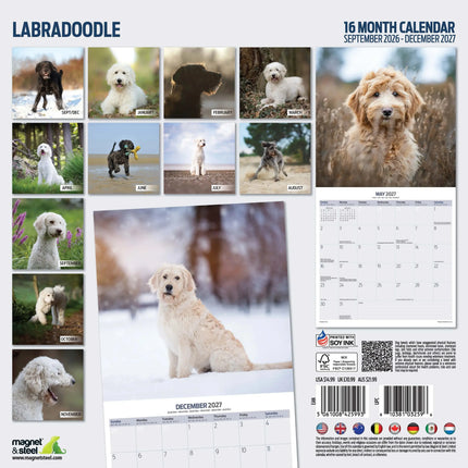 Magnet & Steel Labradoodle Kalender 2027