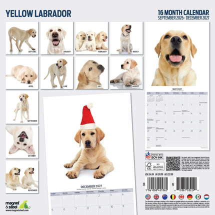 Magnet & Steel Labrador Retriever Blond Modern Kalender 2027