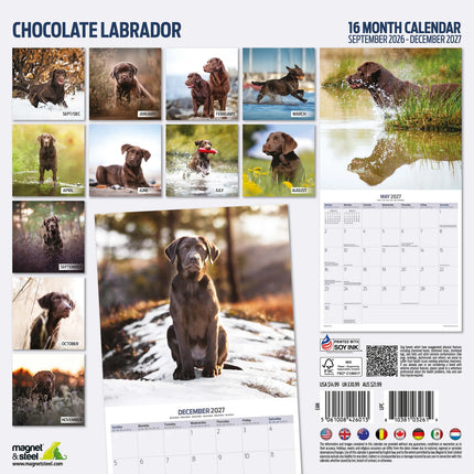 Magnet & Steel Labrador Retriever Bruin Kalender 2027