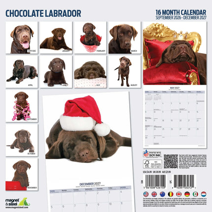 Magnet & Steel Labrador Retriever Bruin Modern Kalender 2026