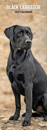 Magnet & Steel Labrador Retriever Kalender Zwart 2026 Slimline