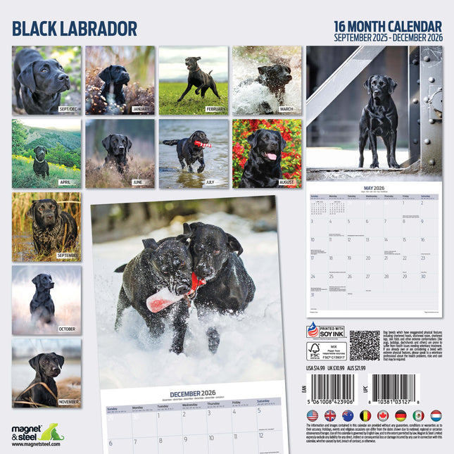 Magnet & Steel Labrador Retriever Zwart Kalender 2026