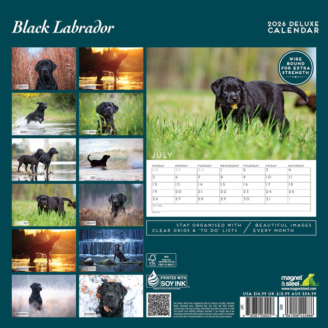 Magnet & Steel Labrador Retriever Zwart Kalender 2026 Deluxe