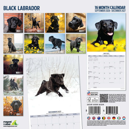 Magnet & Steel Labrador Retriever Zwart Kalender 2027