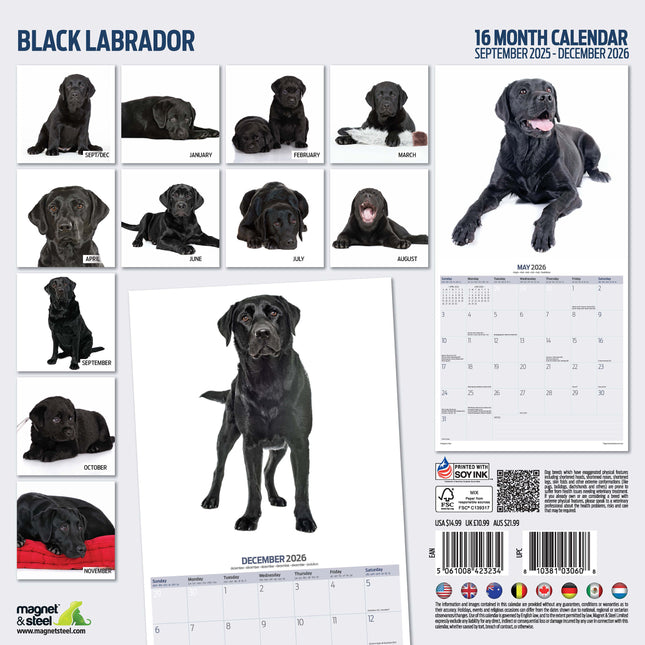 Magnet & Steel Labrador Retriever Zwart Modern Kalender 2026