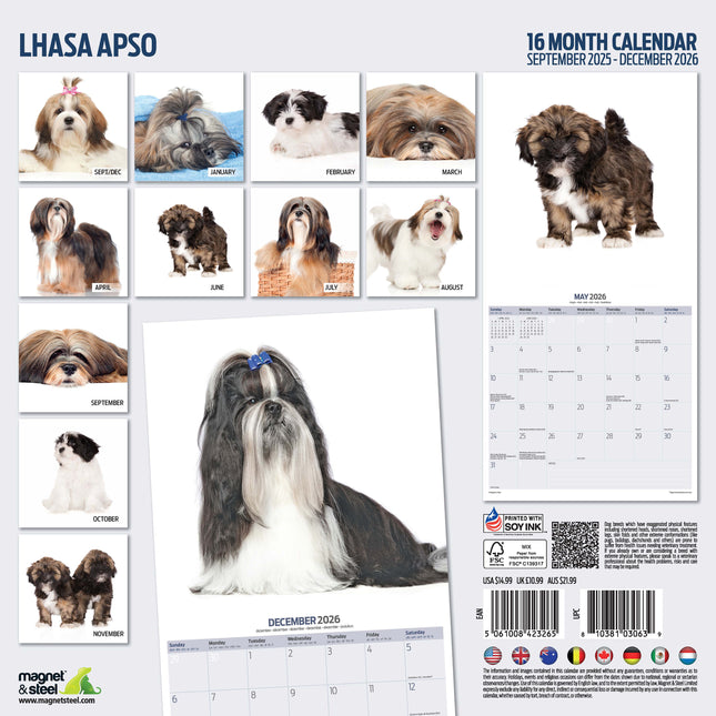 Magnet & Steel Lhasa Apso Modern Kalender 2026