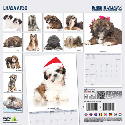 Magnet & Steel Lhasa Apso Modern Kalender 2026
