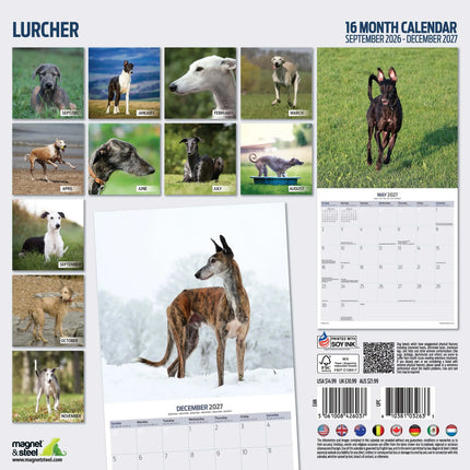 Magnet & Steel Lurcher Kalender 2026