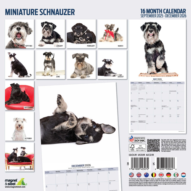 Magnet & Steel Miniatuur Schnauzer Modern Kalender 2026