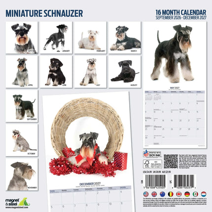 Magnet & Steel Miniatuur Schnauzer Modern Kalender 2027