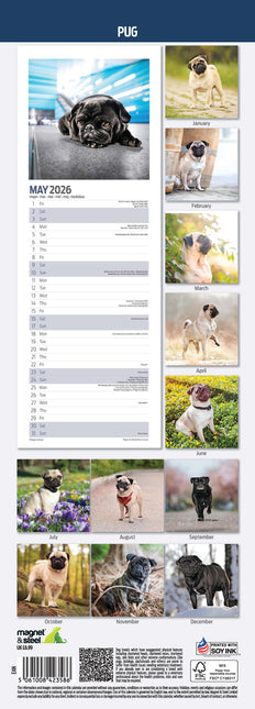 Magnet & Steel Mopshond Kalender 2026 Slimline