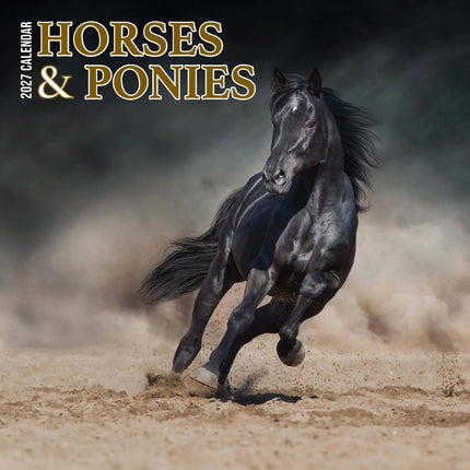 Magnet & Steel Paarden en Ponies Kalender 2027 Slimline
