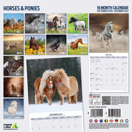 Magnet & Steel Paarden en Ponies Kalender 2027 Slimline