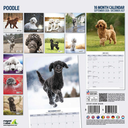 Magnet & Steel Poedel Kalender 2027