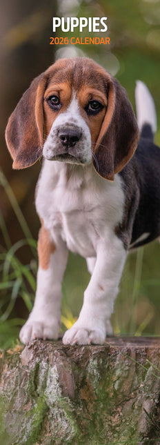 Magnet & Steel Puppy Kalender 2026 Slimline