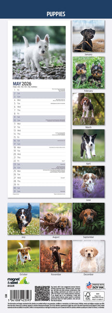 Magnet & Steel Puppy Kalender 2026 Slimline