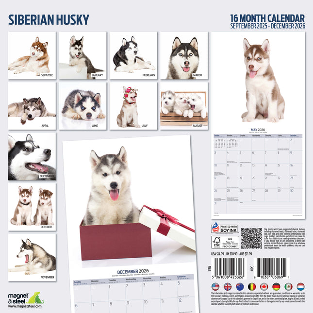 Magnet & Steel Siberian Husky Modern Kalender 2026