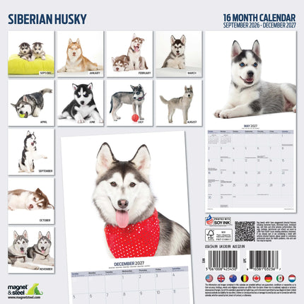 Magnet & Steel Siberian Husky Modern Kalender 2026