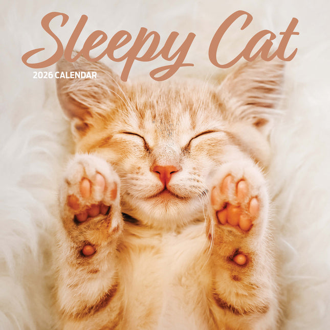 Magnet & Steel Sleepy Cat Kalender 2026