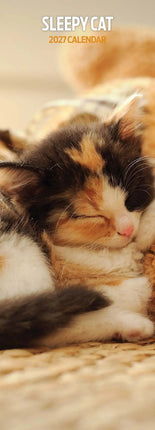 Magnet & Steel Sleepy Cat Kalender 2026 Slimline