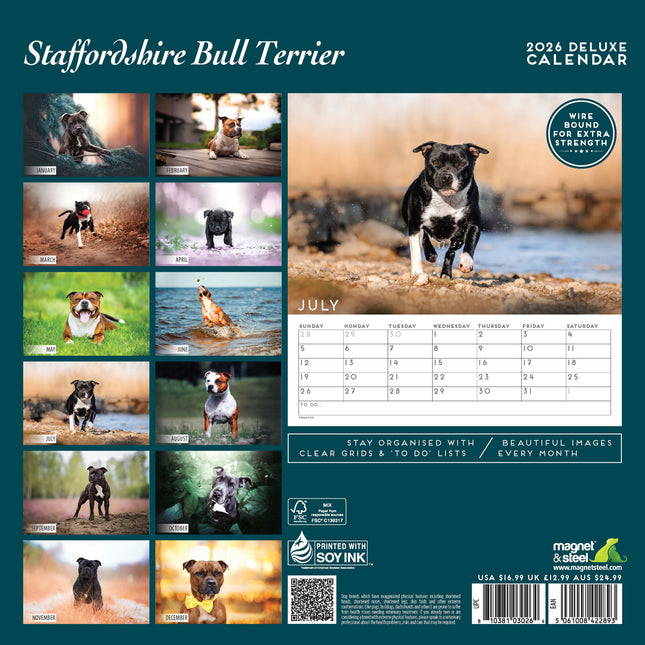 Magnet & Steel Staffordshire Bull Terrier Kalender 2026 Deluxe