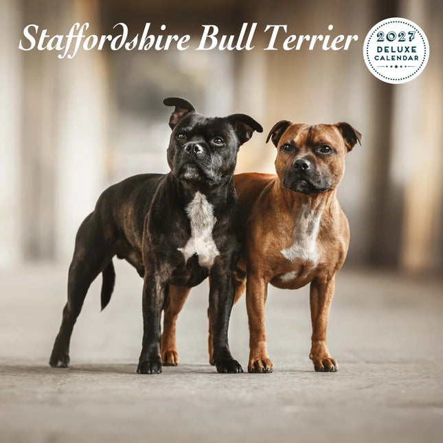 Magnet & Steel Staffordshire Bull Terrier Kalender 2027 Deluxe