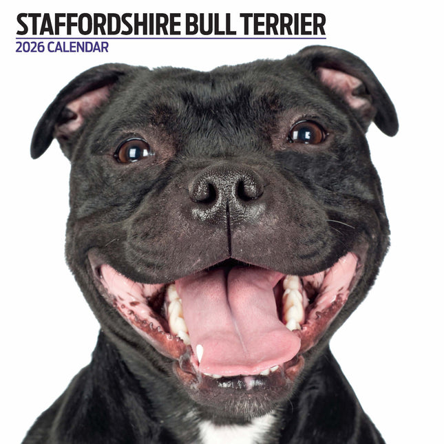 Magnet & Steel Staffordshire Bull Terrier Modern Kalender 2027