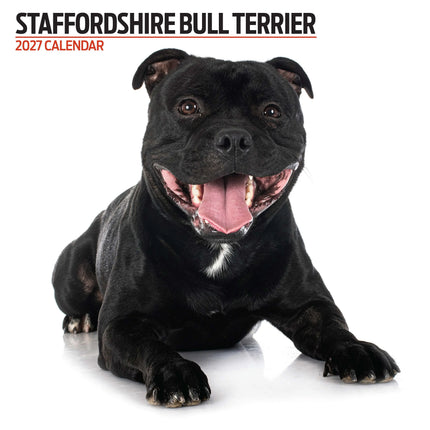Magnet & Steel Staffordshire Bull Terrier Modern Kalender 2027