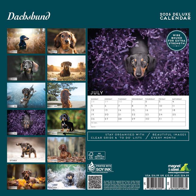 Magnet & Steel Teckel Kalender 2026 Deluxe