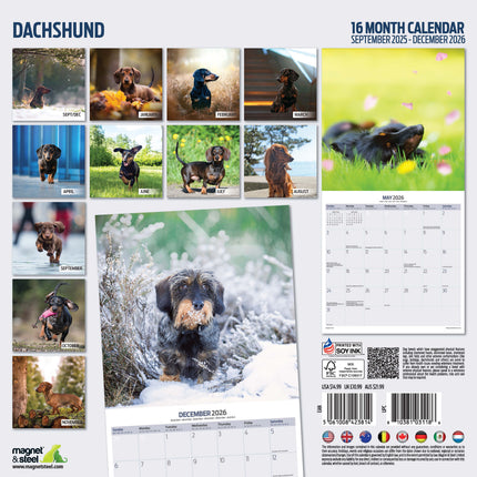 Magnet & Steel Teckel Kalender 2027