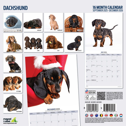 Magnet & Steel Teckel Modern Kalender 2027