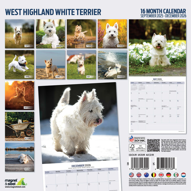 Magnet & Steel West Highland White Terrier Kalender 2026