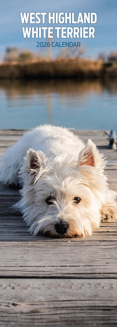 Magnet & Steel West Highland White Terrier Kalender 2026 Slimline