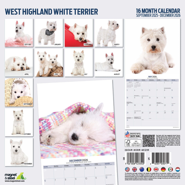 Magnet & Steel West Highland White Terrier Modern Kalender 2026