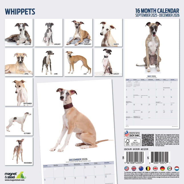 Magnet & Steel Whippet Modern Kalender 2026