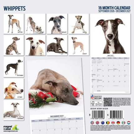 Magnet & Steel Whippet Modern Kalender 2026