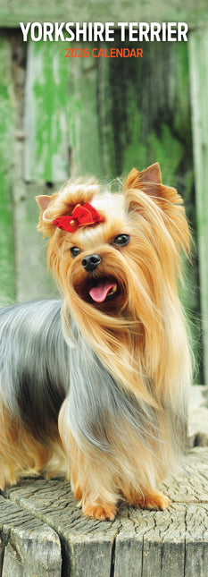 Magnet & Steel Yorkshire Terrier Kalender 2026 Slimline