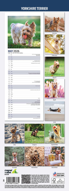 Magnet & Steel Yorkshire Terrier Kalender 2026 Slimline