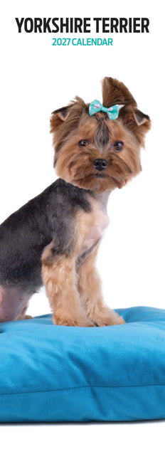 Magnet & Steel Yorkshire Terrier Kalender 2026 Slimline