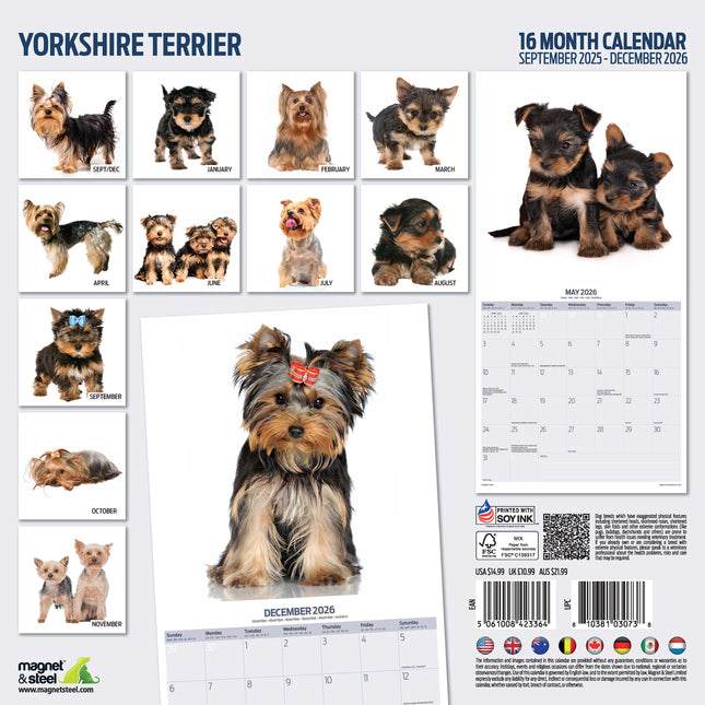 Magnet & Steel Yorkshire Terrier Modern Kalender 2026