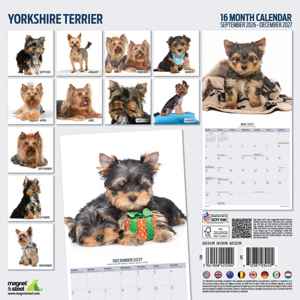 Magnet & Steel Yorkshire Terrier Modern Kalender 2026