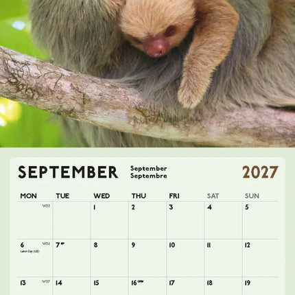 ML Publishing Luiaard Kalender 2027