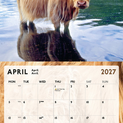 ML Publishing Schotse Hooglanders Kalender 2027