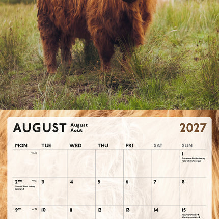 ML Publishing Schotse Hooglanders Kalender 2027