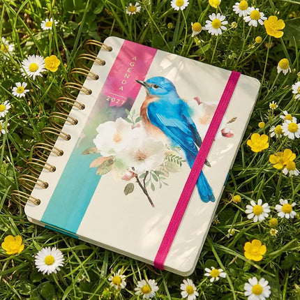 Paperclip Flexi Cover Agenda Blue Bird 2027 A5 – Paperclip