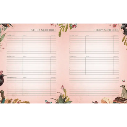 Pimpelmees Pimpelmees A5 Schoolagenda 2026 - 2027 Owl Peach