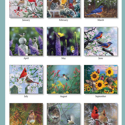 Pine Ridge Birds of a Feather Kalender 2027