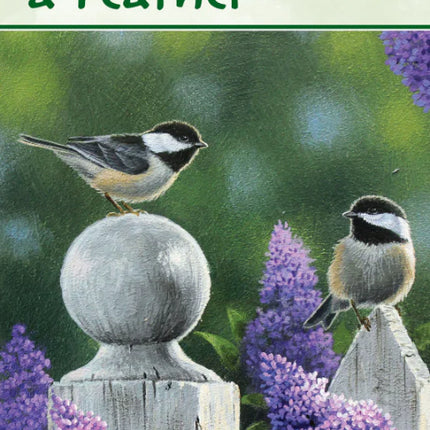 Pine Ridge Birds of a Feather Kalender 2027 Small